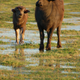 Image for article titled Shooting Challenge: Golden Hour Gallery 2